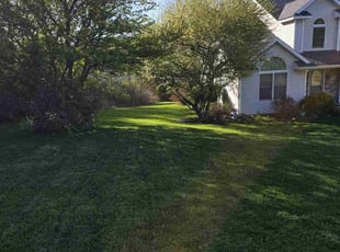 Gregory F.'s grass cutting service result