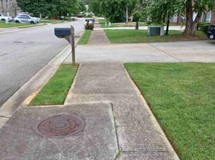 Joni R.'s Lawn Mowing service result