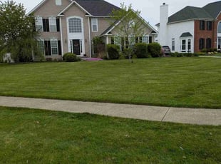 Donna A.'s grass maintenance service result