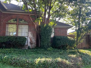 Peggy D.'s Bush Trimming service result