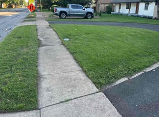 Cynthia N.'s lawn care service result