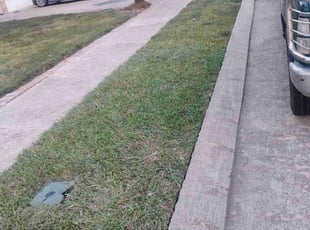 Patrick F.'s grass maintenance service result