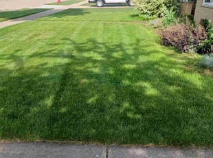 Michelle D.'s lawn care service result