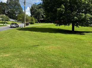 Susan W.'s grass maintenance service result