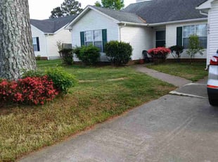 David D.'s turf care service result