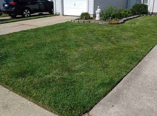 Megan T.'s grass cutting service result