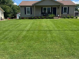 Laurie H.'s lawn maintenance service result
