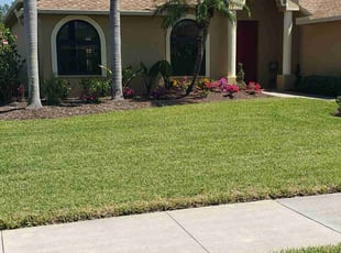Ryan O.'s turf maintenance service result