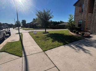 Sarah P.'s grass maintenance service result