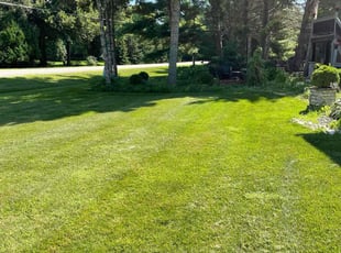 Sherri L.'s grass cutting service result