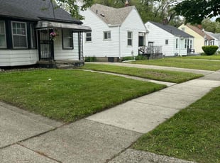 Rahiem B.'s lawn care services service result