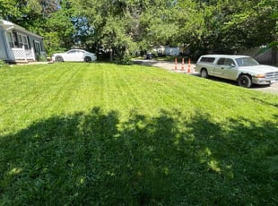 Eric E.'s Long Grass Cleanup service result