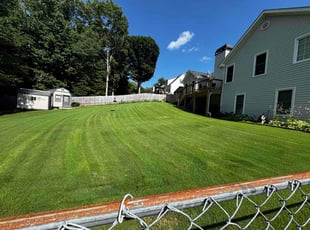 Lauren R.'s turf maintenance service result