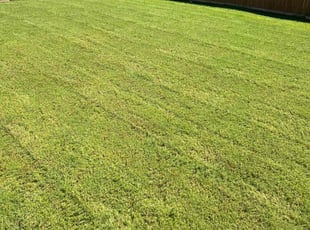 Jeffrey B.'s lawn care services service result