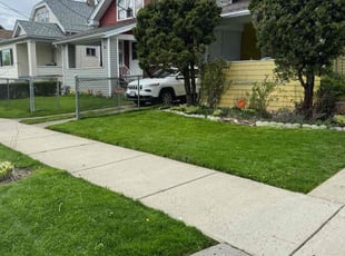 Matthew V.'s turf care service result