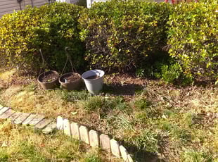 Richard T.'s Bush Trimming service result