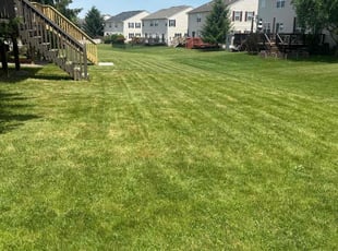 Rich R.'s grass cutting service result