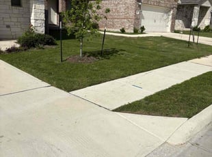 Penny F.'s turf maintenance service result