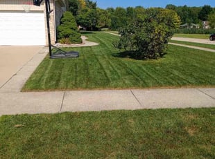 Kathryn B.'s grass maintenance service result