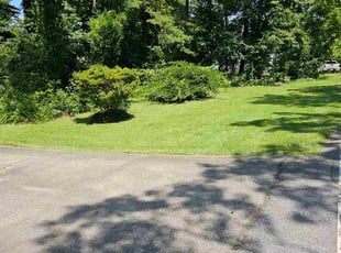 Nichole L.'s turf care service result