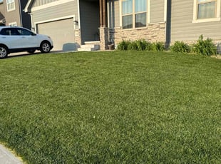 Freddie N.'s turf care service result