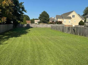 Mahlet A.'s lawn care service result