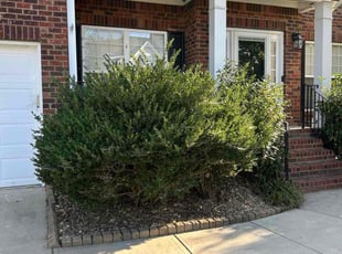 Jeremy C.'s grass maintenance service result