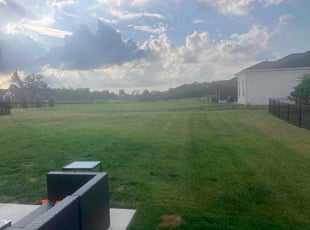 Alese C.'s lawn care service result