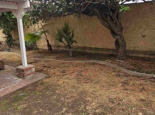 Robert B.'s turf maintenance service result