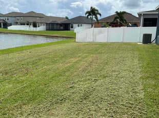 Robert B.'s grass maintenance service result
