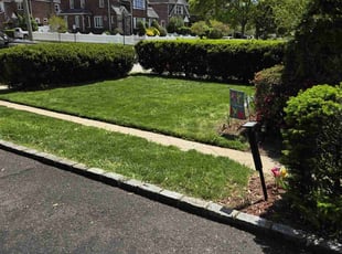 Qais A.'s turf maintenance service result
