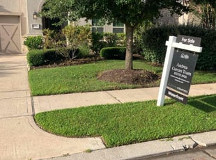 Burt S.'s grass maintenance service result