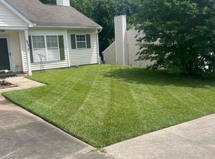 Ronnel A.'s lawn care services service result