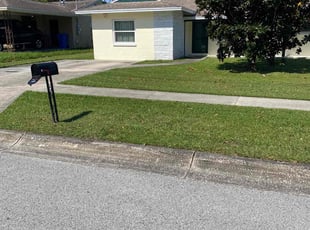 Maureen O.'s grass maintenance service result