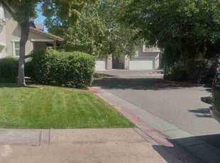 Jamie G.'s lawn maintenance service result