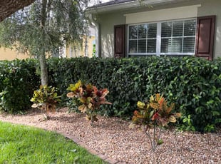 Kyle L.'s Bush Trimming service result
