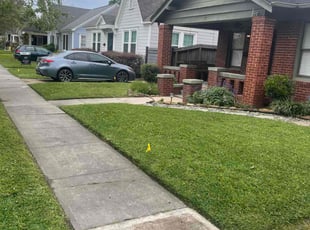 Larry J.'s turf care service result