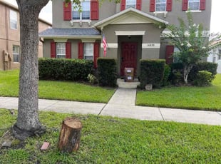 Katie C.'s Bush Trimming service result