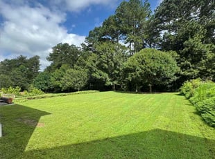 Silvia H.'s turf care service result