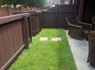 Mimi M.'s lawn care service result