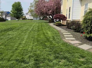 Ana B.'s turf maintenance service result