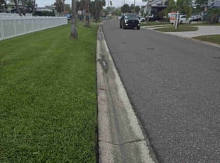 Kimberly B.'s lawn care service result