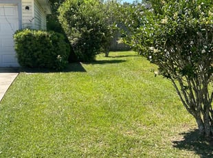 John H.'s turf care service result