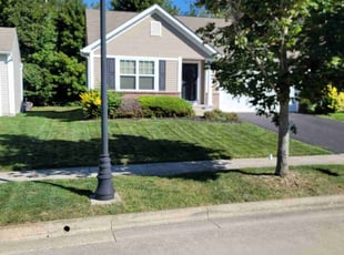 Kathy K.'s turf care service result