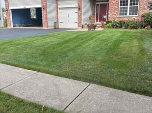Adolfo S.'s turf care service result