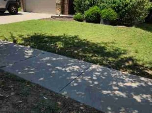 Kyna G.'s lawn maintenance service result
