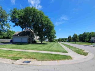 Anthony V.'s lawn maintenance service result