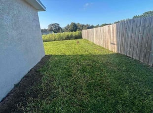 Luvenia T.'s lawn care services service result