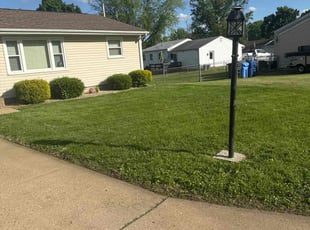 Jeannine G.'s grass cutting service result