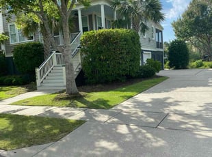 Frances B.'s lawn service service result